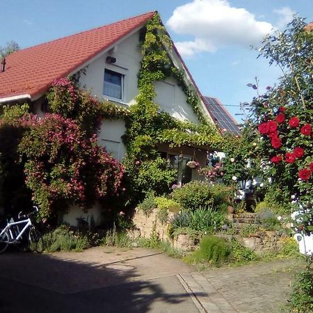 Moebliertes Zimmer, Pluederhausen Pluderhausen Екстер'єр фото